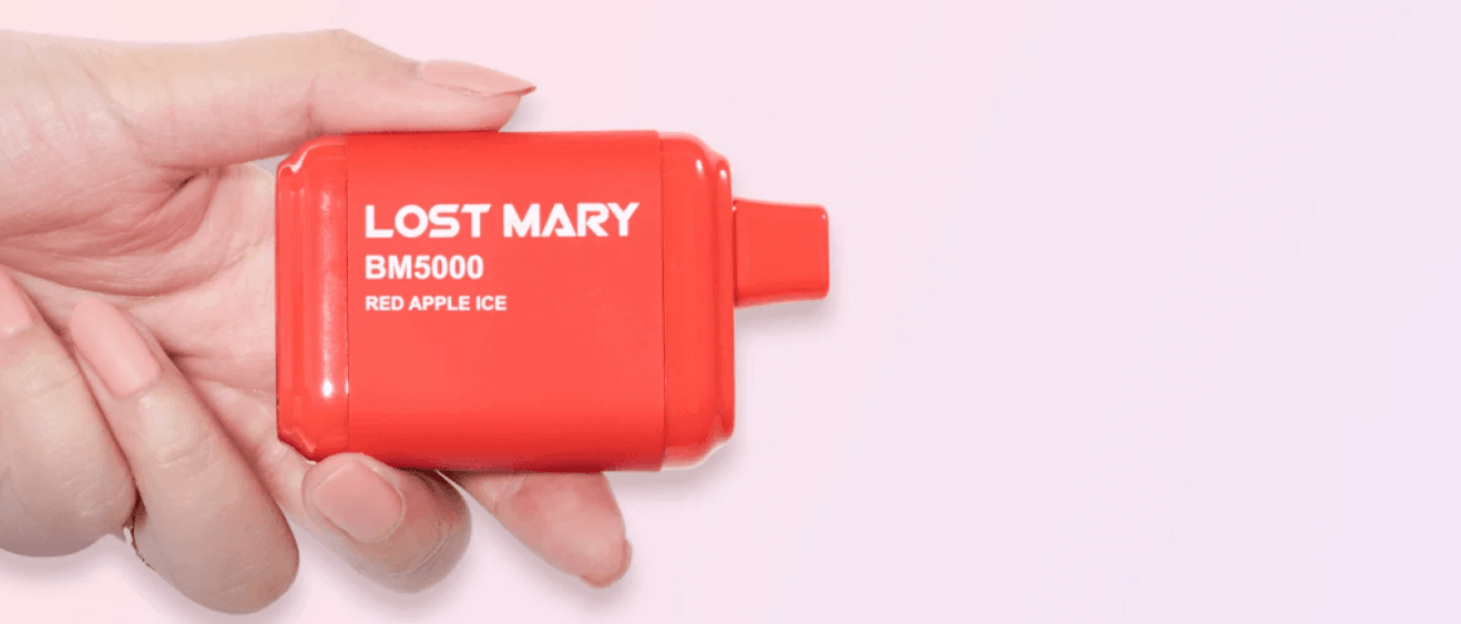 lost mary