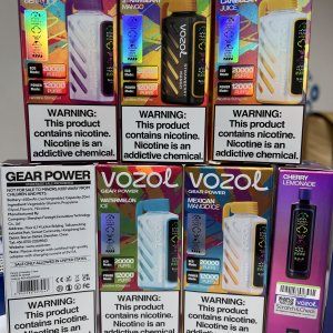 Vozol Gear Power 20000 Черника, малина с холодком