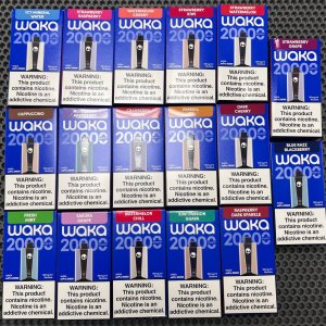 WAKA 20000 SoPro Blueberry Rasberry mint